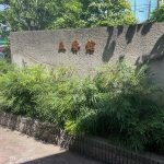 【エントランス】 エントランスの植栽が綺麗に手入れされていて管理体制の良さがうかがえます。