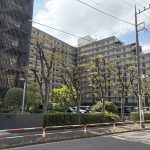 【外観】 閑静な住宅街に建つマンション。敷地内も緑豊かに整えられていて管理体制の良さが感じられます。フルリノベーション済みなので、綺麗なお部屋ですぐに新生活が始められます。24時間ゴミ出し可能です。