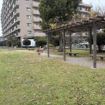 【敷地隣接公園】 芝生敷き、遊具のある公園。小さなお子様にも安心してお散歩していただけます。
